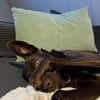 Die liebe Hazel sucht ein neues Zuhause