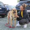 Madison sucht Geborgenheit