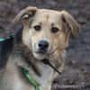 Casper sucht ein liebevolles Zuhause