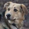 Casper sucht ein liebevolles Zuhause
