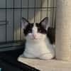 ASTON chez Sandrine Frece