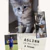 Aslinn