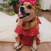 Berta
