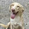 🆘 CREAM in 41236 Mönchengladbach 🆘🆘