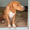 FRANCESCA - nur Haut und Knochen