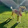 MARJORIE -liebe und verschmuste Seele-