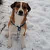 SUNDAY -steckt voller Entdeckungsfreude-
