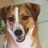 SUNDAY -steckt voller Entdeckungsfreude-