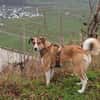 SUNDAY -steckt voller Entdeckungsfreude-