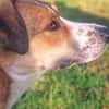 SUNDAY -steckt voller Entdeckungsfreude-