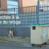 BERTA