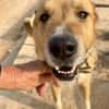 CORONEL (Maria)