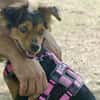 Figo, freundlich, offen,kinderfreundlich