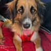Besuche Grace in 64711 Erbach ❤