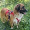 Besuche Grace in 64711 Erbach ❤