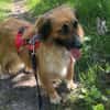 Besuche Grace in 64711 Erbach ❤