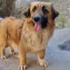 Besuche Grace in 64711 Erbach ❤