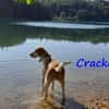 Cracker ein treuer Begleiter 10/21 DE PS