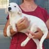 Biba sucht ein neues Zuhause