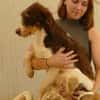 Lion braucht liebe Menschen
