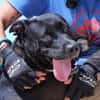 PUNKIE (Maria)