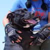 PUNKIE (Maria)