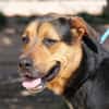 TRUMAN  (Martina)