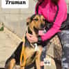 TRUMAN  (Martina)