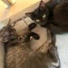 ANNA&TOM  - wie Yin und Yang