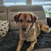 🆘 MAJA in 65556 LIMBURG ‼‼‼‼