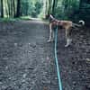 Frodo - ein toller Kerl !