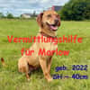 Marlow - Vermittlungshilfe