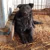Angy sucht ihre Familie