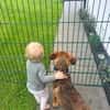 Kayo -zur Pflege in 23701 Bockholt-