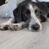 Liebe Paula, sucht ihre Familie