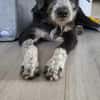 Liebe Paula, sucht ihre Familie