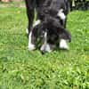 Liebe Paula, sucht ihre Familie