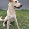 BUDY attend sa famille pour la vie !