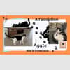 Agathe