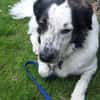 Laiko -PLZ 47239 Duisburg