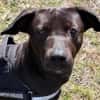 Patch Neugieriger Jungspund sucht dich!