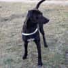 Patch Neugieriger Jungspund sucht dich!