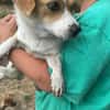 Levi, ein neuer Start, ein neues Glück