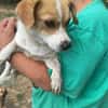 Levi, ein neuer Start, ein neues Glück