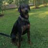 Axel Junior - PS in 53347 Alfter