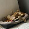 Lita aus Bochum