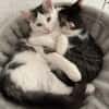 Aluno & Fluffy  Verspieltes Dreamteam