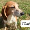 TITEUF
