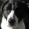 BUSTER