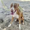 JOSE (Maria)